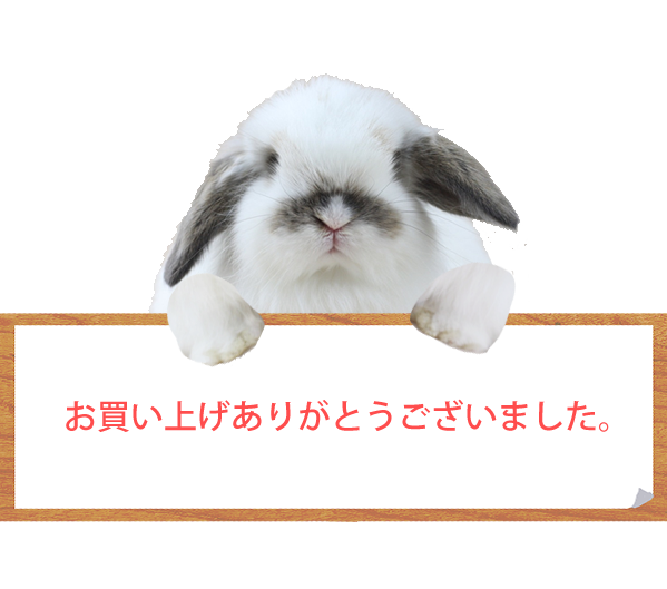 ありがとうございました